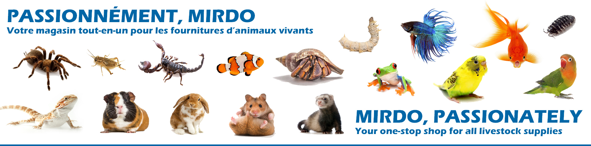 MIRDO, PASSIONATELY - Your One-Stop Shop for All Livestock Supplies